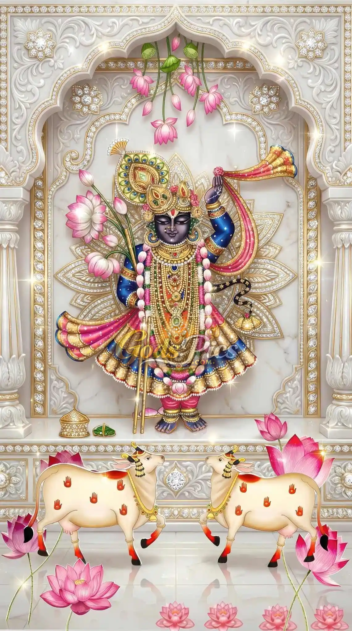 Lord Shreenathji